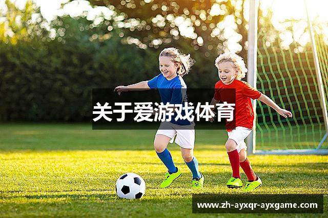 关于爱游戏体育